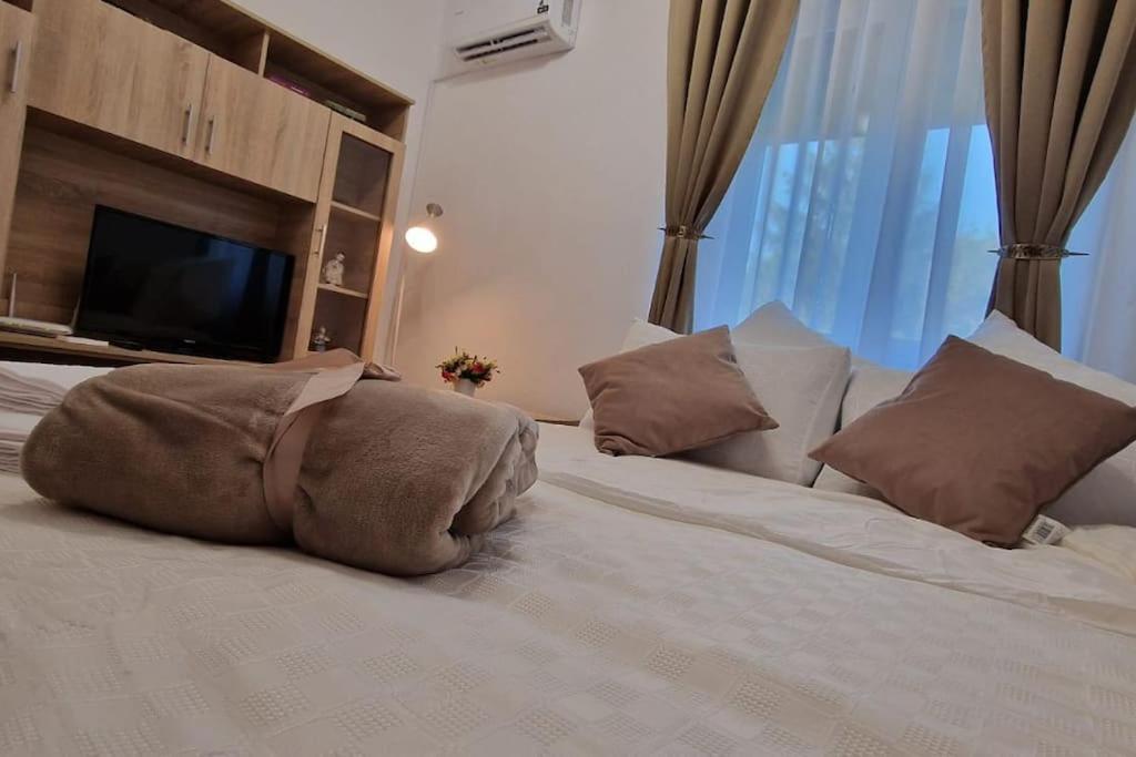 Little And Cozy Studio Breakfast Included ทิมิชัวรา ภายนอก รูปภาพ